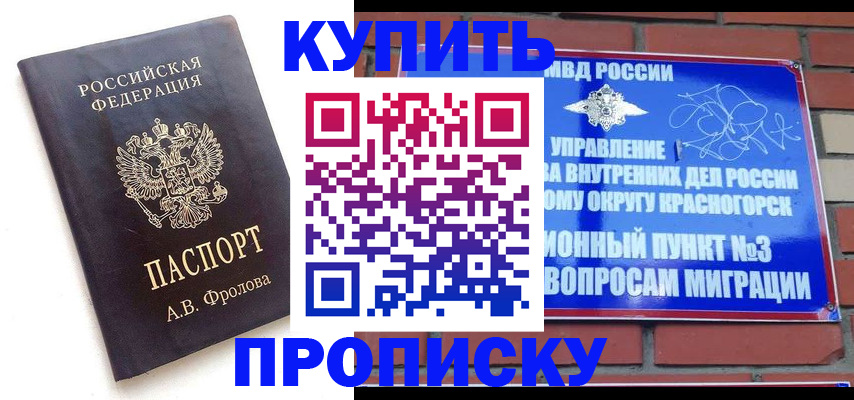 прописка поиск в Сертолово